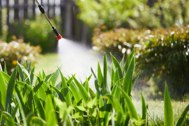 Tamper-Resistant Bait Stations for Rodents in Maitland