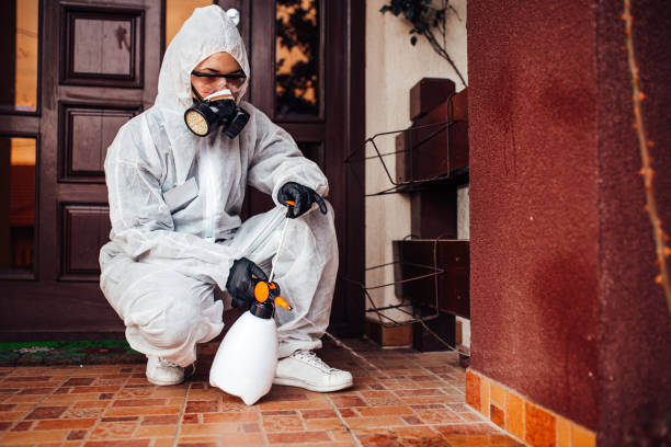 Attic and Crawl Space Rodent Treatment in Maitland